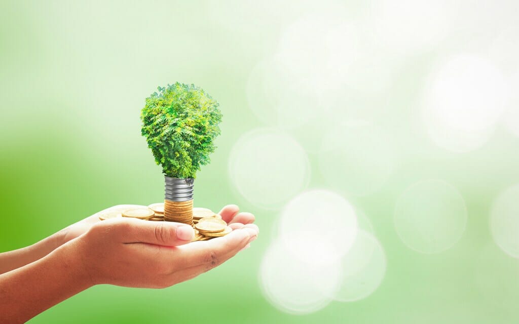 الاقتصاد الأخضر: مفهوم أهداف أمثلة على الاقتصاد الأخضر