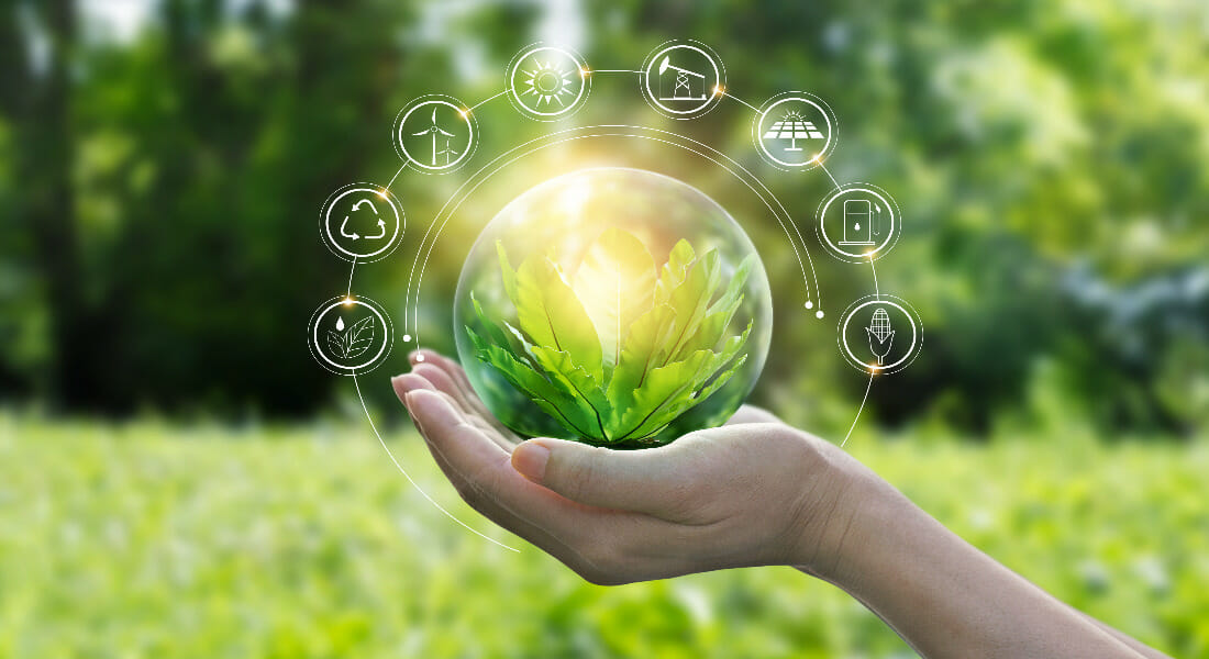 نشأة مصطلح الاقتصاد الأخضر وقمة البيئة البشرية