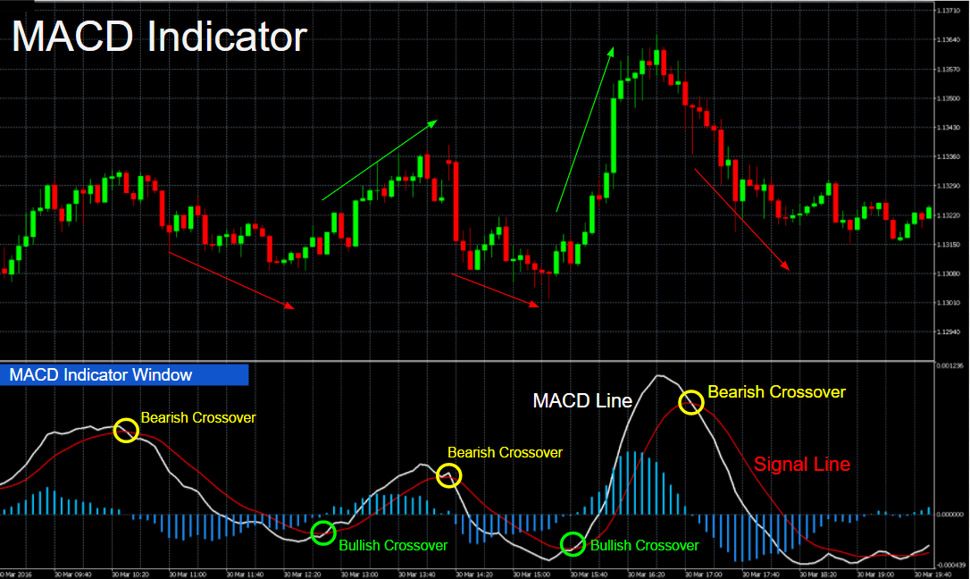 دليل شرح مؤشر الماكد MACD Indicator وأهم مميزاته وخصائصه