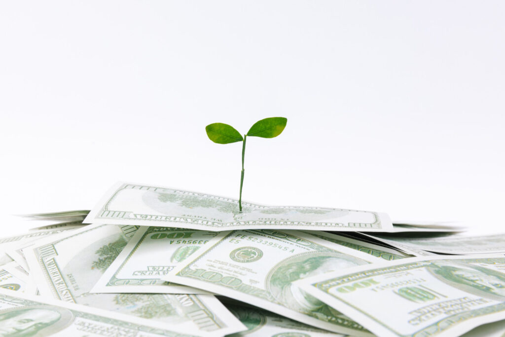 الصكوك الخضراء