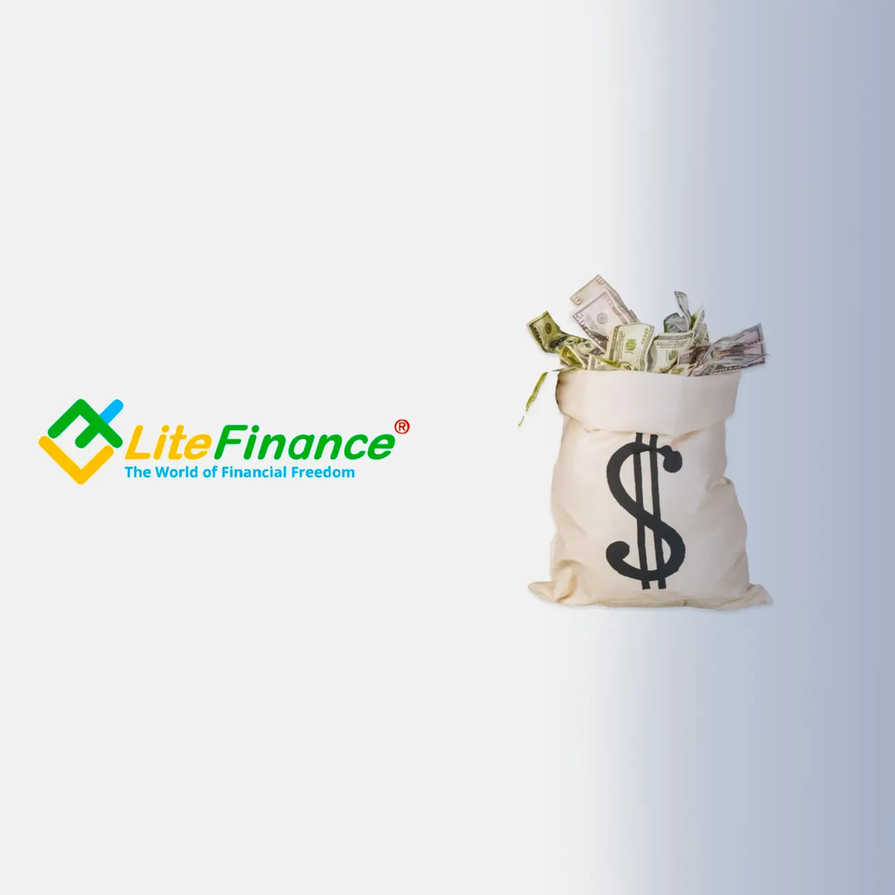 نبذة عن شركة LiteFinance