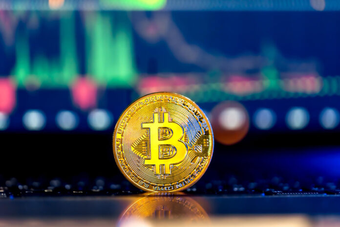 تطبيقات بتكوين اللامركزية: كيف يتحوّل البيتكوين من خزينة ادخار إلى شبكة مالية كاملة تطبيقات بتكوين اللامركزية: كيف يتحوّل البيتكوين من خزينة ادخار إلى شبكة مالية كاملة
